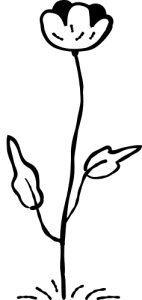 Blume als Designelement